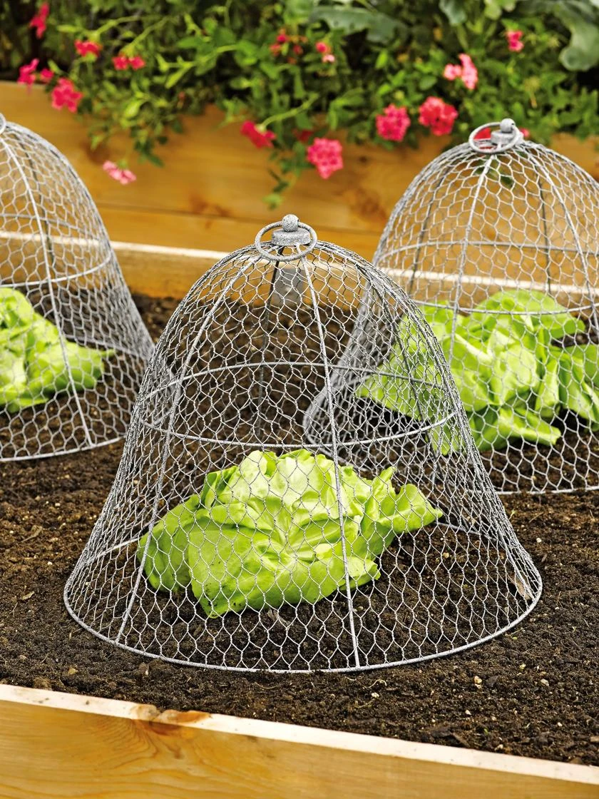 Garden Pro Shop -Garden Pro Shop 8590210 2408 wire cloche colonial tin works tif