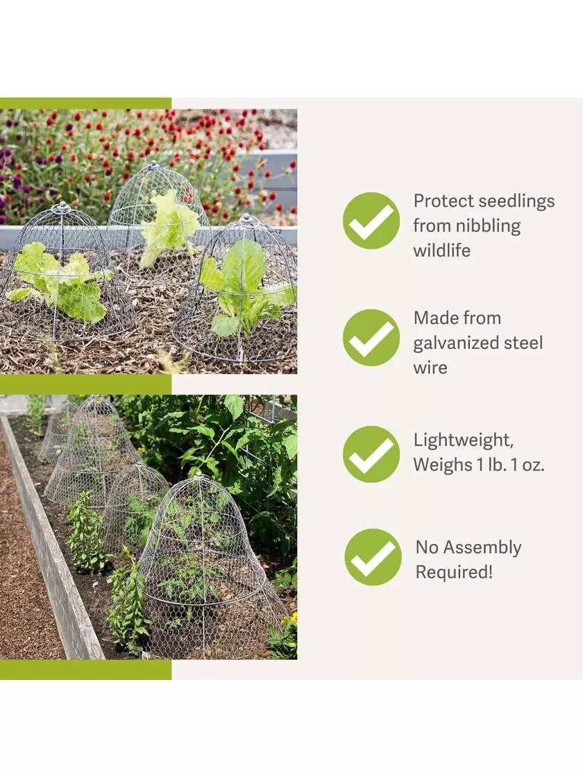 Chicken Wire Cloche 4 Chicken Wire Cloche - Image 2