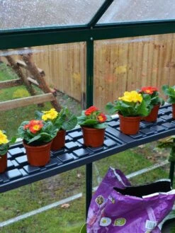 Canopia® By Palram Shelf Kit For Greenhouses, Set Of 2 Shelves 14 Canopia® By Palram Shelf Kit For Greenhouses, Set Of 2 Shelves -Garden Pro Shop 8591033 09V jpg