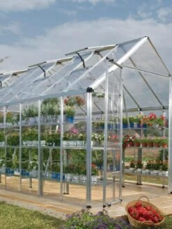 Canopia® By Palram Harmony™ Snap & Grow Greenhouse, 8' -Garden Pro Shop 8591043 02V tif