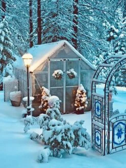 Canopia® By Palram Harmony™ Snap & Grow Greenhouse, 8' -Garden Pro Shop 8591048 06V jpg