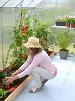 Canopia® By Palram Essence™ Greenhouse, 8' X 12' 18 Canopia® By Palram Essence™ Greenhouse, 8' X 12' -Garden Pro Shop 8591356 04V tif