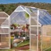 Canopia® By Palram Essence™ Greenhouse, 8' X 12' -Garden Pro Shop 8591356 15V jpg