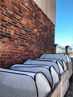 Row Shelter Accelerator 11 Row Shelter Accelerator -Garden Pro Shop 8591990 01IN tif