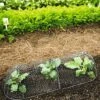 3-in-1 Chicken Wire Cloche -Garden Pro Shop 8592117 5598 1 chicken wire cloche 3 in 1 tif