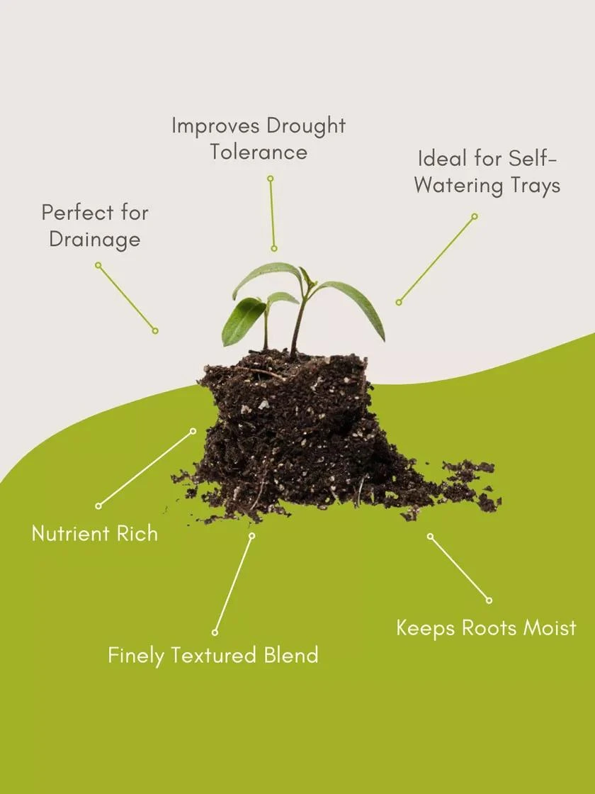 Seed Starting Mix, 9 Qts. 8 Seed Starting Mix, 9 Qts. - Image 6