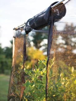 Storm Proof Crop Cage, Large -Garden Pro Shop 8592463 115 tif