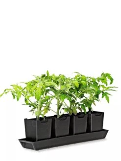 Pop-Out Pots, Set Of 4 -Garden Pro Shop 8593943 1260 tif