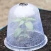 Large Garden Cloches, Set Of 3 -Garden Pro Shop 8593984 345 tif