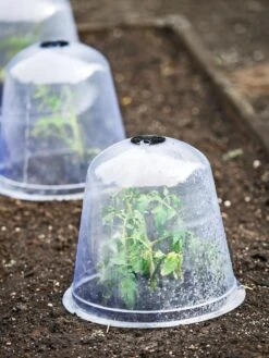 Large Garden Cloches, Set Of 3 -Garden Pro Shop 8593984 9432 tif
