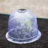 Medium Garden Cloches, Set Of 6 -Garden Pro Shop 8593985 347 tif