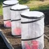 Tomato TLC Kits, Set Of 3 -Garden Pro Shop 8594214 0183 tif