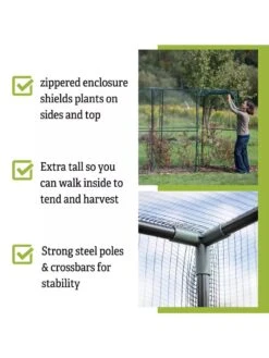 Crop Cage, 4' X 12' -Garden Pro Shop 8596540 4