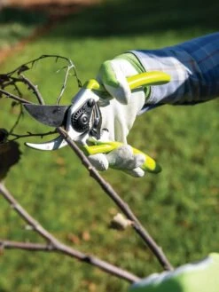Gardener's Pro Pruner #2 9 Gardener's Pro Pruner #2 -Garden Pro Shop 8596605 032 tif