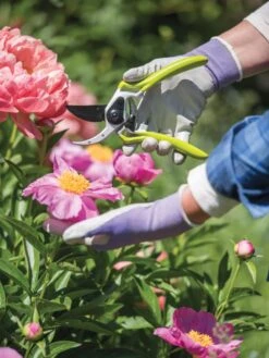 Gardener's Pro Pruner #2 8 Gardener's Pro Pruner #2 -Garden Pro Shop 8596605 1261 tif