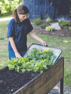 Pop-Up Crop Protector -Garden Pro Shop 8596763 EasyCropProtector gif