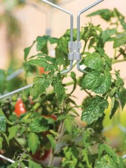 Gardener's Vertex Lifetime Tomato Cage -Garden Pro Shop 8598426 0011 tif