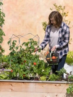 Gardener's Vertex Lifetime Tomato Cage -Garden Pro Shop 8598426 0026 tif