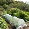 Insect Protection Tunnel 1 Insect Protection Tunnel -Garden Pro Shop 8598536 8225 tif
