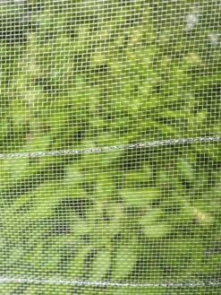 Insect Protection Tunnel 6 Insect Protection Tunnel -Garden Pro Shop 8598536 9160 tif