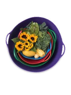 Colorful Tubtrug, 3-1/2 Gallon -Garden Pro Shop 8599088 20GalTubTrug gif 1