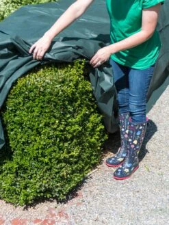 The Planket® Frost Protection Plant Cover, 10' X 20' -Garden Pro Shop 8599101 0929 tif