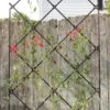 Achla Designs Freestanding Lattice Trellis -Garden Pro Shop 8599475 01V tif