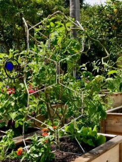 Gardener's Vertex Lifetime Pepper And Eggplant Cage 13 Gardener's Vertex Lifetime Pepper And Eggplant Cage -Garden Pro Shop 8599554 01CUST tif