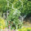 Gardener's Vertex Lifetime Pepper And Eggplant Cage 1 Gardener's Vertex Lifetime Pepper And Eggplant Cage -Garden Pro Shop 8599554 3000 tif