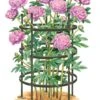 Titan Peony Supports, Large, Set Of 2 -Garden Pro Shop 8599857 0001 art tif