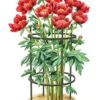 Titan Peony Supports, Medium, Set Of 2 -Garden Pro Shop 8599858 0001 art tif