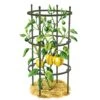 Titan Pepper Eggplant Cages, Set Of 3 -Garden Pro Shop 8599859 0001 art tif