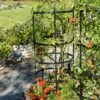 Titan Tomato Cages, Set Of 3 -Garden Pro Shop 8599861 0049 tif