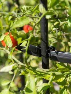 Titan Tomato Cages, Set Of 3 -Garden Pro Shop 8599861 0079 tif