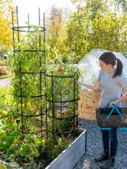 Titan Tomato Cages, Set Of 3 -Garden Pro Shop 8599861 0114 tif