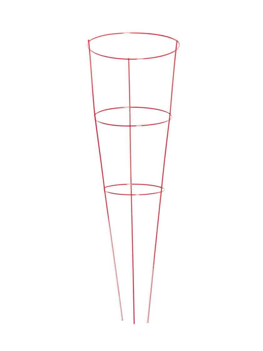 Heavy-Duty Plant Supports 42", Set Of 5 5 Heavy-Duty Plant Supports 42", Set Of 5 - Image 3