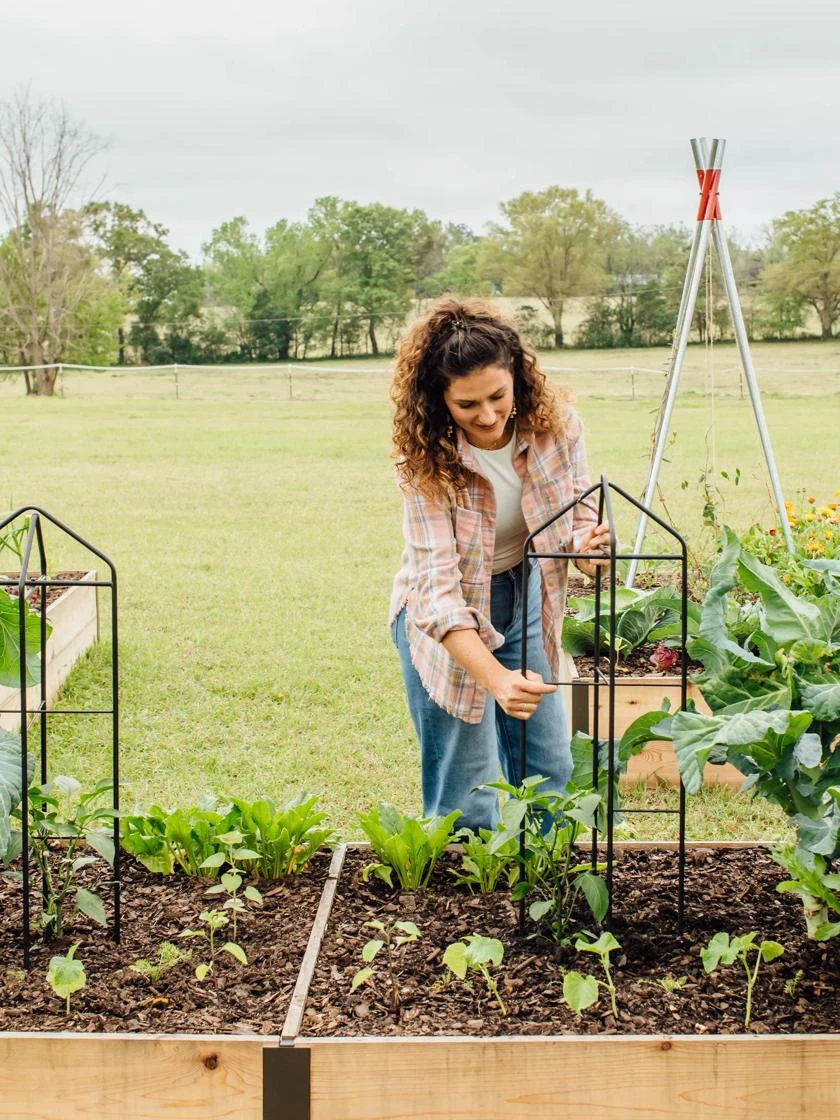 Zenith Folding Garden Supports, Set Of 2 7 Zenith Folding Garden Supports, Set Of 2 - Image 5