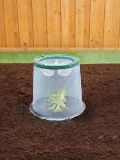 Sunny Forcing Cloches, Set Of 3 -Garden Pro Shop 8600075 02V tif