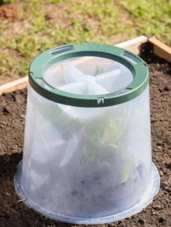 Sunny Forcing Cloches, Set Of 3 -Garden Pro Shop 8600075 0734 tif