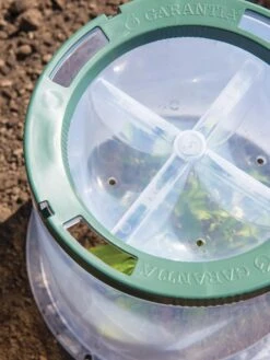 Sunny Forcing Cloches, Set Of 3 -Garden Pro Shop 8600075 0742 tif