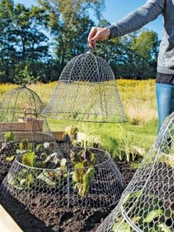 Chicken Wire Cloche With Extension -Garden Pro Shop 8600116 0604 3 4