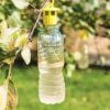 Bottle Insect Traps, Set Of 6 -Garden Pro Shop 8600119 0532 tif