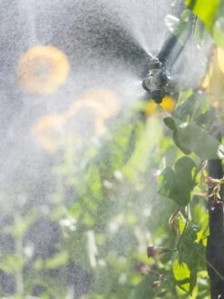 Landscape 4-Way Cooling Mist Kit, 50' -Garden Pro Shop 8600154 0695 tif