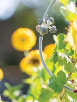 Landscape 4-Way Cooling Mist Kit, 50'