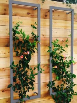 Ina Modern Wall Trellis Sr. -Garden Pro Shop 8600510 08V jpg