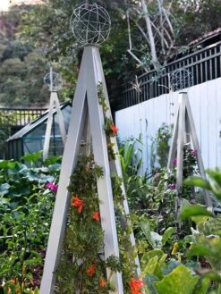 Akoris Garden Tuteur Jr. -Garden Pro Shop 8600517 07V tif