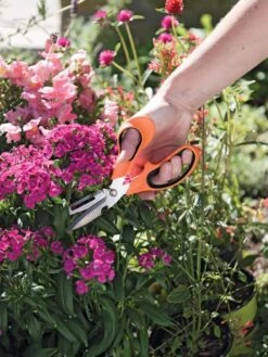 Gardener's Multi Purpose Scissors -Garden Pro Shop 8608655 19551 tif