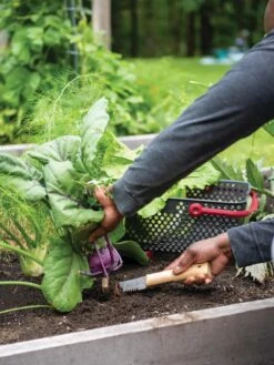 Gardener's Lifetime Hori Hori Knife -Garden Pro Shop 8608888 0422 tif