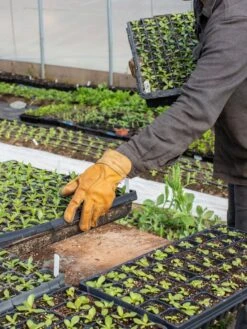 The Vermonter By Vermont Glove 10 The Vermonter By Vermont Glove -Garden Pro Shop 8608918 08v