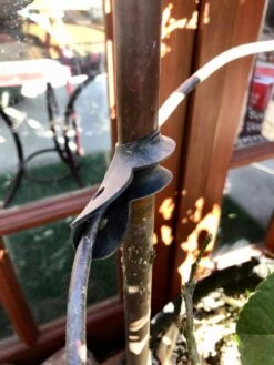 Garden Cane Connects, Set Of 6 -Garden Pro Shop 8609019 03V tif